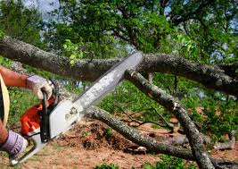 Best Lot and Land Clearing  in Clifton Forge, VA